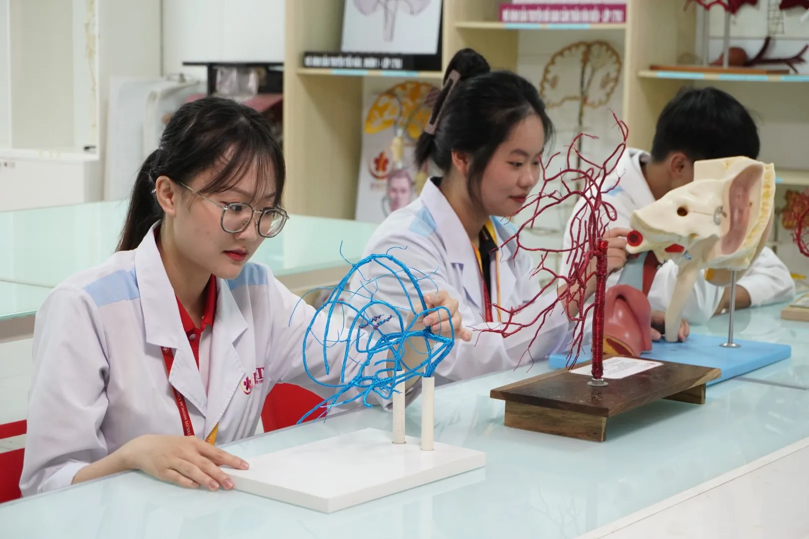 Buon Ma Thuot medical University BMU students on study section
